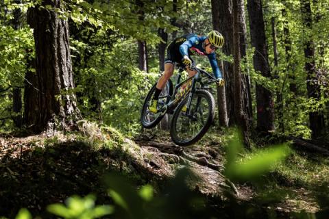 Quelle: © Radsport Kienzl 12f_radsport-kienzl.jpg