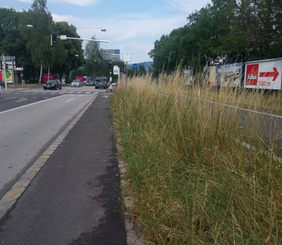 2017-06-gras-vor-kreuzung-radweg-autobahnabfahrt.jpg