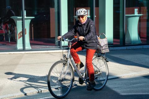 Quelle: Albert Pötsch einkaufen-mit-fahrrad-christinehager.jpg