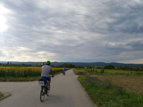 p1150213.jpg