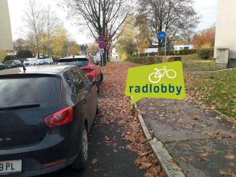 radlobby-linz-dooring-gefahr-leonfeldnerstr-hilfe.jpg
