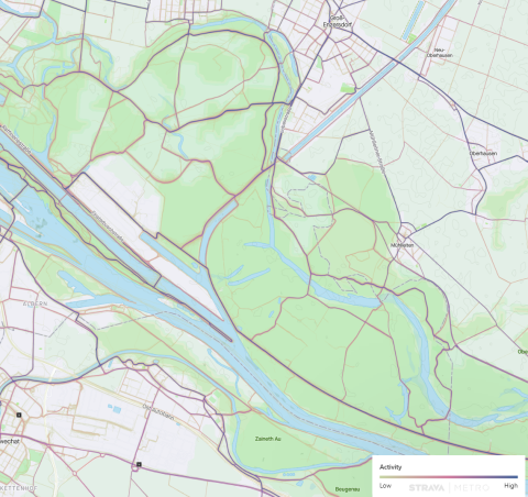 strava_metro_routen_lobau.png