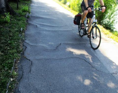 Radweg mit Wurzeln