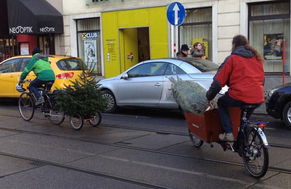 20131221_sylvia.jpg